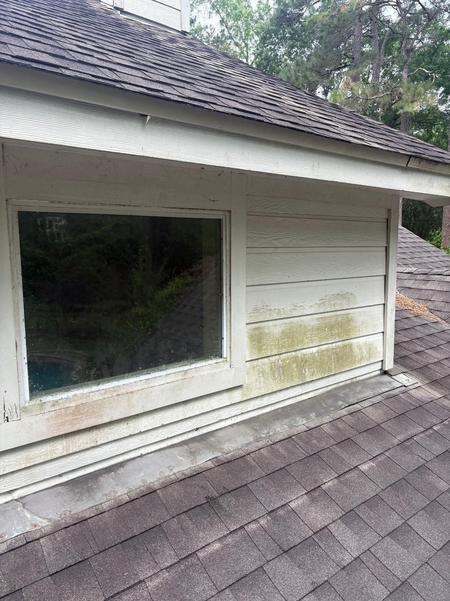 Dormer with mildew-stained siding below a shingled roof, before a wash — pressure washing in Montgomery, TX